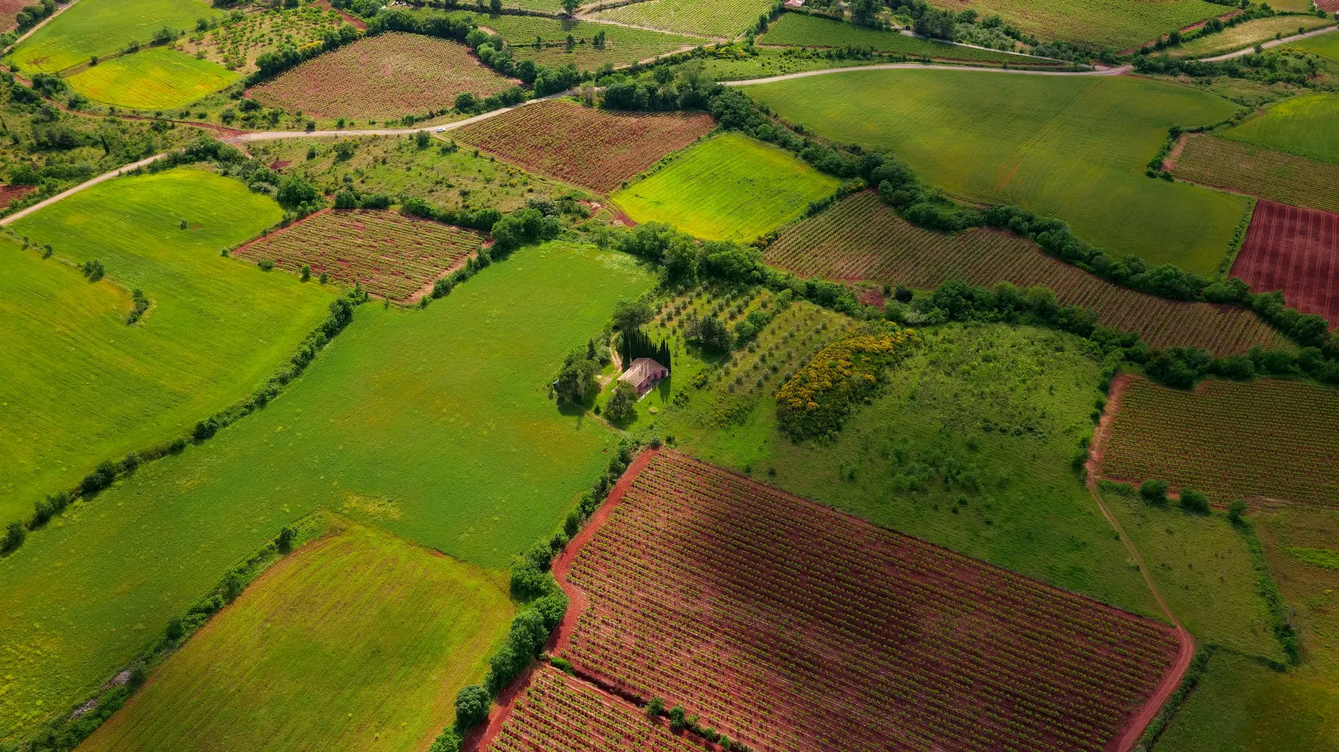 aerial view of green grass field